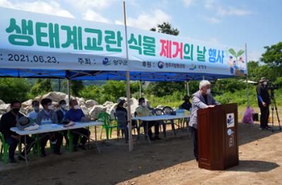  생태계교란 식물 제거의 날 행사 