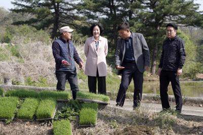 양구군 첫 모내기 행사