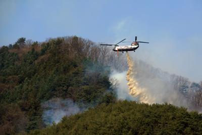 가오작리 산불현장 방문10-1500.jpg