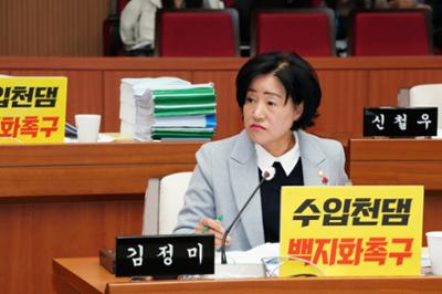 제300회 양구군의회 제2차 정례회 제3차 예결특위 (17).JPG