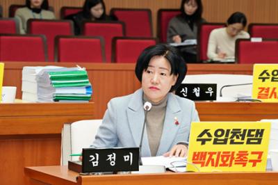 20241216 제300회제2차정례회 제8차예결특위 (16).JPG