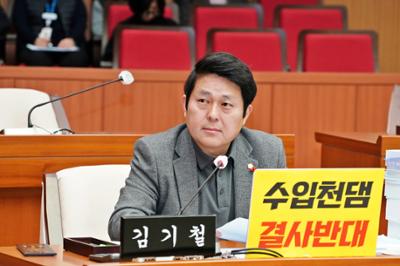 20241218 제300회제2차정례회 제6차지역특위 (8).JPG