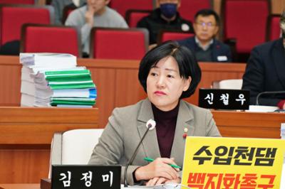20241218 제300회제2차정례회 제6차지역특위 (10).JPG
