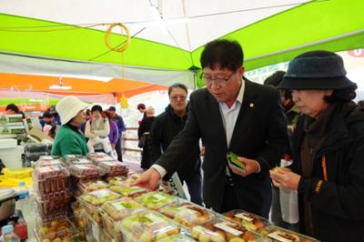 2025 청춘양구 펀치볼 시래기 사과축제 현장 답사