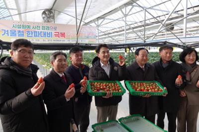 강원특별자치도지사 겨울철 한파대비 농업시설물 사전 점검