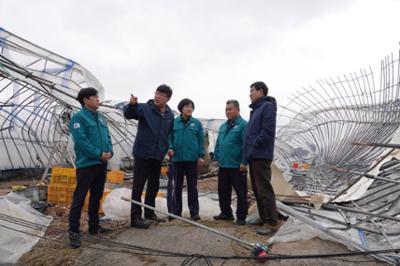 해안면 강풍 피해 농가 점검