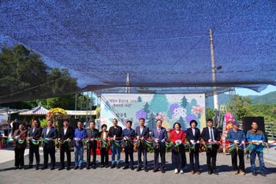 20261003 댄싱 드래곤 축제 (46)-1.JPG