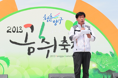 2013년 청춘양구 곰취축제