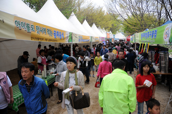 2009 곰취축제