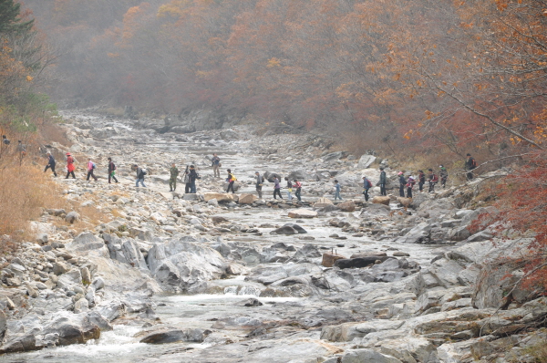 2009 범도민 산소길 걷기축제