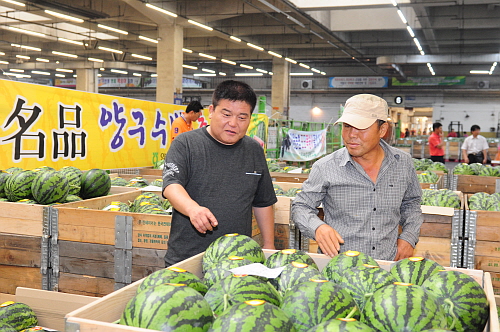 양구수박첫출하행사참석2DSC_1371.jpg