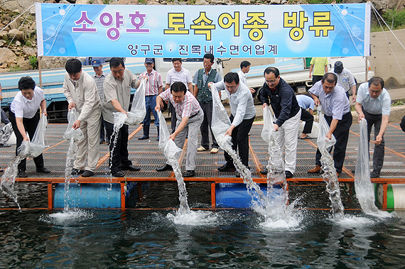 어린고기 방류행사(석현리 선착장)