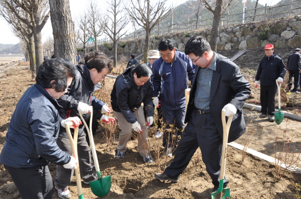 제65회식목일나무심기.jpg